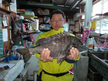 ふじや釣舟店 釣果