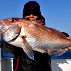 渡船屋たにぐち 釣果