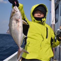 渡船屋たにぐち 釣果