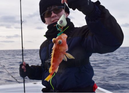 渡船屋たにぐち 釣果