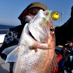 渡船屋たにぐち 釣果