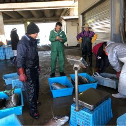 山正丸 釣果