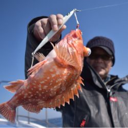 渡船屋たにぐち 釣果