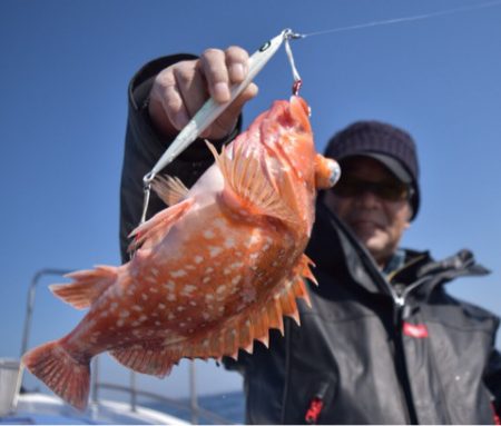 渡船屋たにぐち 釣果