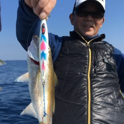 渡船屋たにぐち 釣果