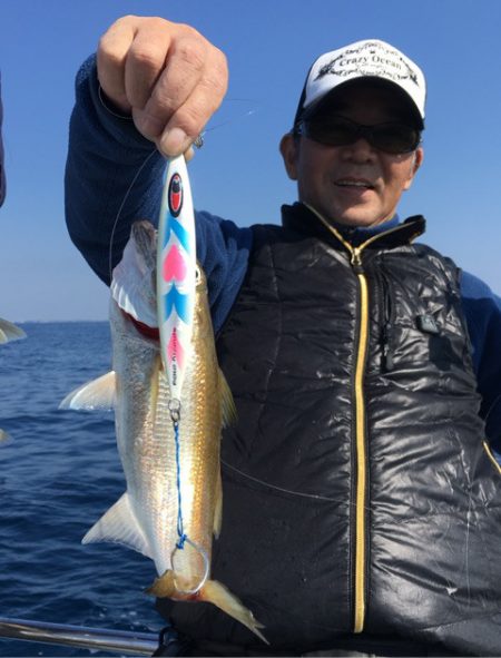 渡船屋たにぐち 釣果