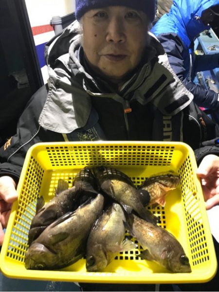 ヤザワ渡船 釣果