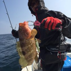 「LaGooN」蒼陽丸 日和号　 釣果