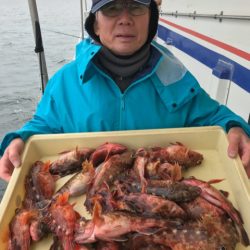 ヤザワ渡船 釣果