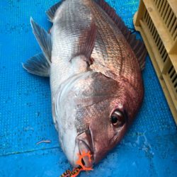 太平丸 釣果