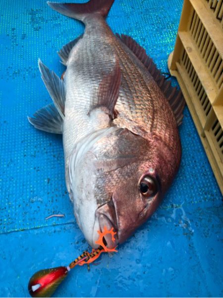 太平丸 釣果