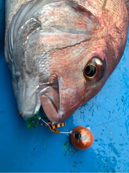 太平丸 釣果