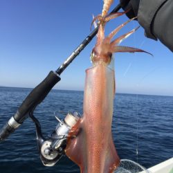 「LaGooN」蒼陽丸 日和号　 釣果