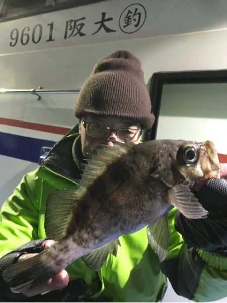 ヤザワ渡船 釣果