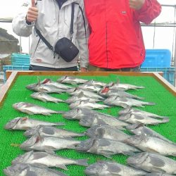 海の釣堀 海恵 釣果