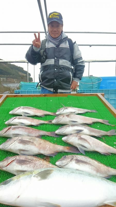 海の釣堀 海恵 釣果