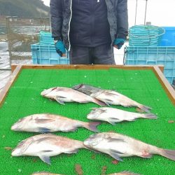 海の釣堀 海恵 釣果