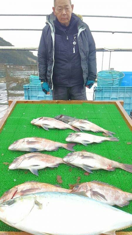 海の釣堀 海恵 釣果