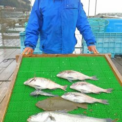 海の釣堀 海恵 釣果