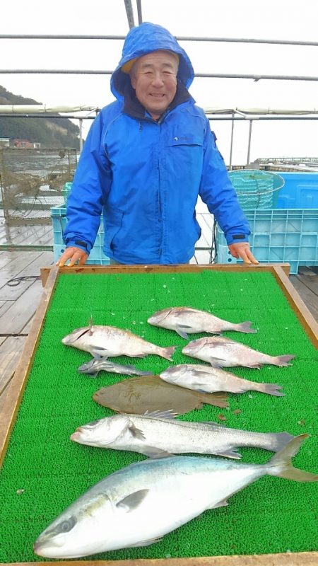 海の釣堀 海恵 釣果