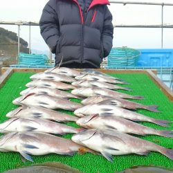 海の釣堀 海恵 釣果