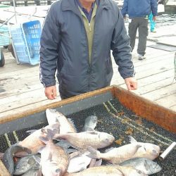 海の釣堀 海恵 釣果