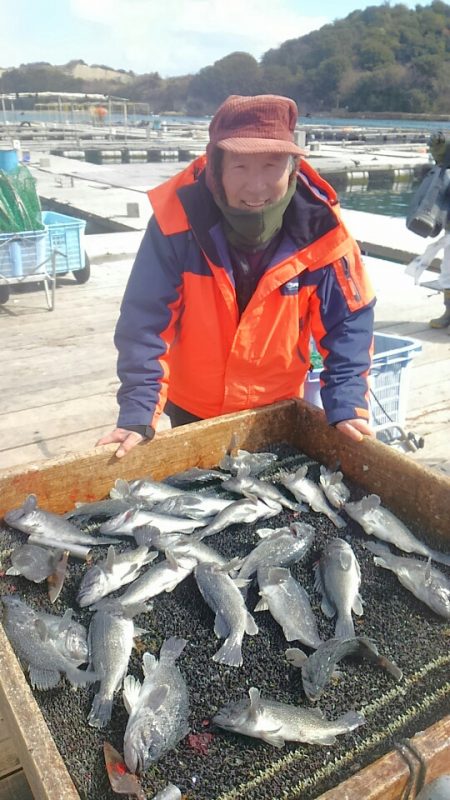 海の釣堀 海恵 釣果