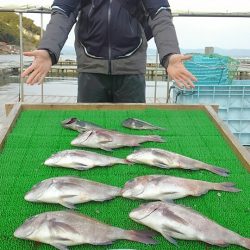 海の釣堀 海恵 釣果