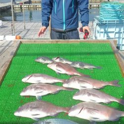 海の釣堀 海恵 釣果