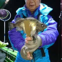 小島丸 釣果