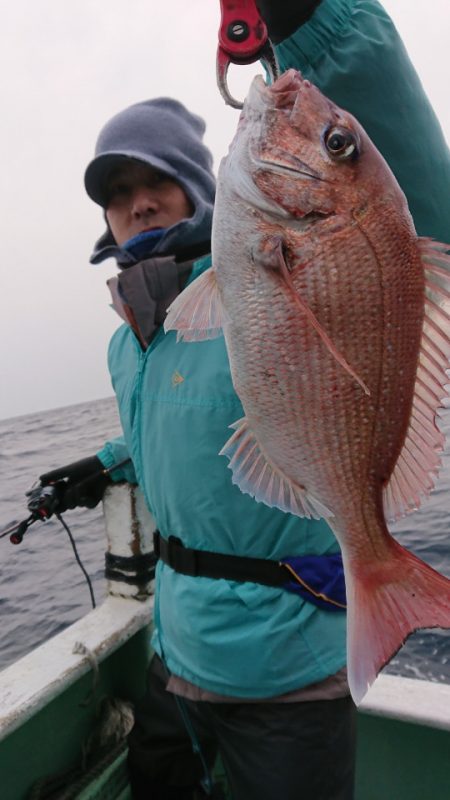 だて丸 釣果