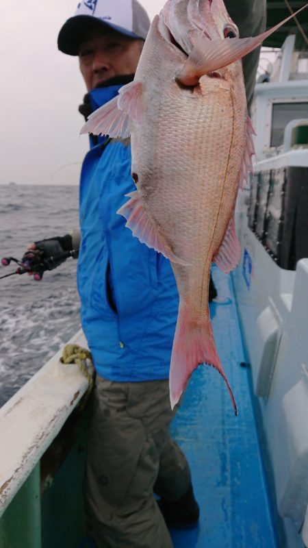 だて丸 釣果