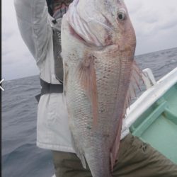 だて丸 釣果