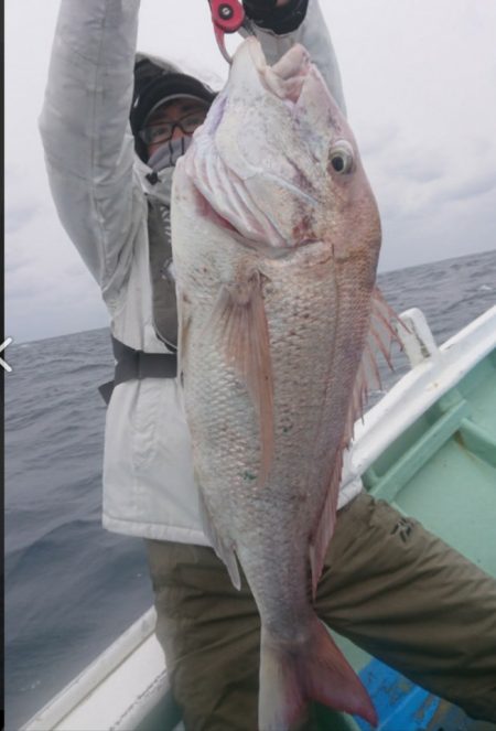 だて丸 釣果