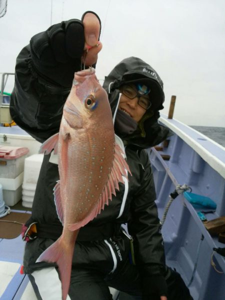 新幸丸 釣果