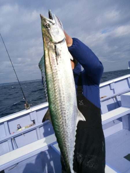 新幸丸 釣果