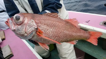 ぽん助丸 釣果