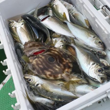 もと明丸 釣果