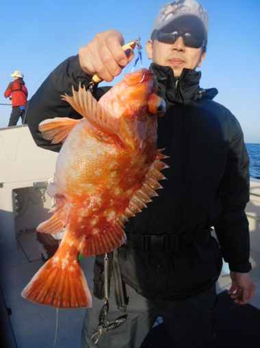 随功丸 釣果