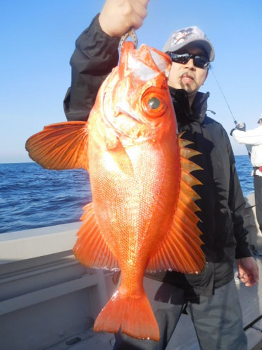 随功丸 釣果