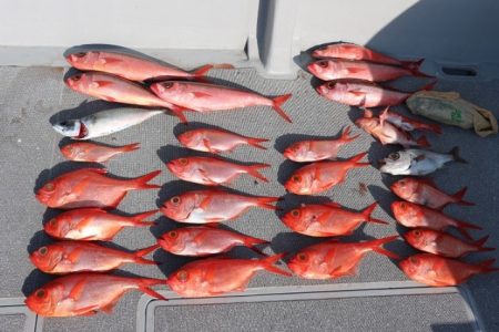 へいみつ丸 釣果