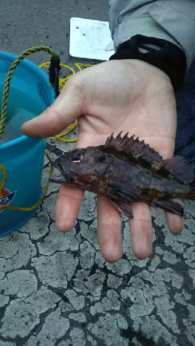 気候が良くなってきました！