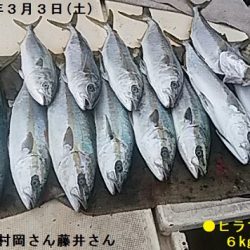 大物釣果速報！●光義丸：平戸市早福港