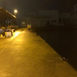 雨の垂水漁港