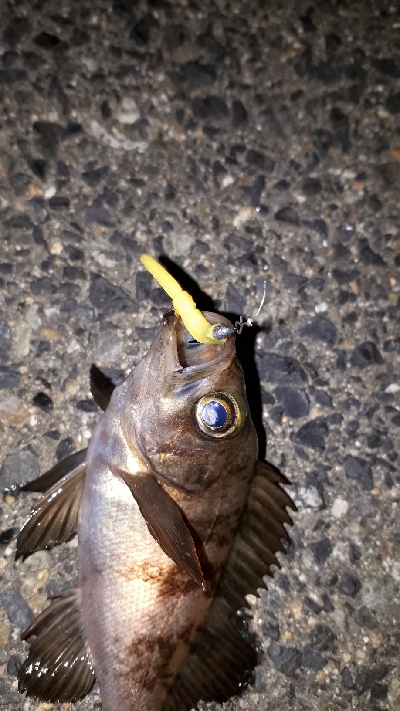 ちょっくら、再確認