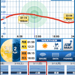 バチ抜け調査