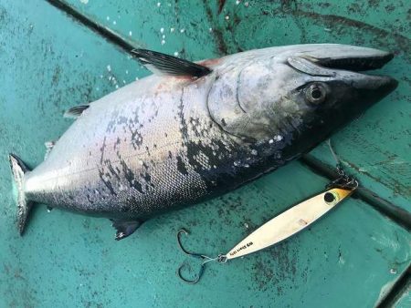 広進丸 釣果