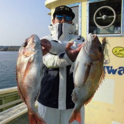 大進丸（新潟） 釣果