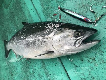 広進丸 釣果