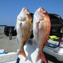 大進丸（新潟） 釣果